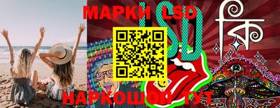 гидра Краснодар