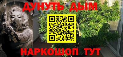 гидра Краснодар