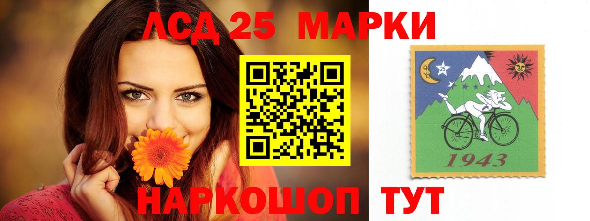 Заводоуковск  блэк спрут сайт  LSD-25 экстази кислота  Вход с VPN  LSD-25 экстази кислота 