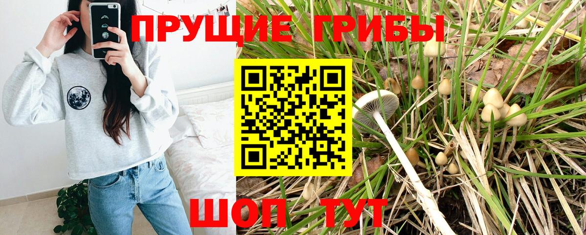 Псилоцибиновые грибы прущие грибы Заводоуковск